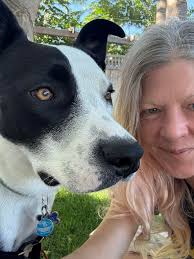 Hello! Looking for recommendations