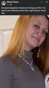 Lost Kitten Found in Cleveland, Owner Sought