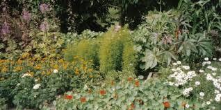 Botanischer Garten Oberholz Park Outdooractive Com