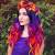 Sunset Purple And Orange Hair