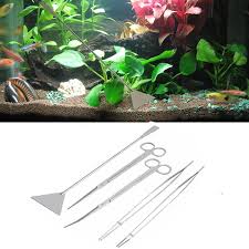 Crayfish dapat dibedakan berdasarkan bentuk alat kelaminnya pasang perlengkapan standar akuarium ikan hias di dalam akuarium berupa aerator, saringan, dan perlengkapan lainnya. Perlengkapan Pemeliharaan Akuarium Profesional Gunting Pinset Pembersih Tangki Ikan Untuk Tanaman Rumput Hidup Aksesori Akuarium Ikan Alat Alat Kebersihan Aliexpress