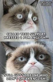 It's hardly possible to find someone who doesn't appreciate a funny picture with a cute kitty. 44 Grumpy Cat Memes Ideas Grumpy Cat Cat Memes Grumpy