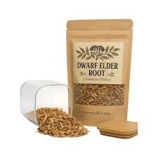 Buy Danewort Root | Dwarf Elder Root | Sambucus Ebulus| Herbal | Loose |  Herb | Fresh Harvested | Premium Quality Online in India - Etsy