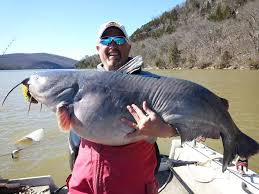 As the only truly protected harbor on logan martin lake, clear creek harbor is the perfect gateway to fishing and water sports on logan martin lake. Alabama 2015 Fishing Calendar