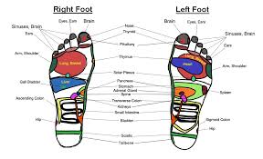 Reflexology For Thyroid Health