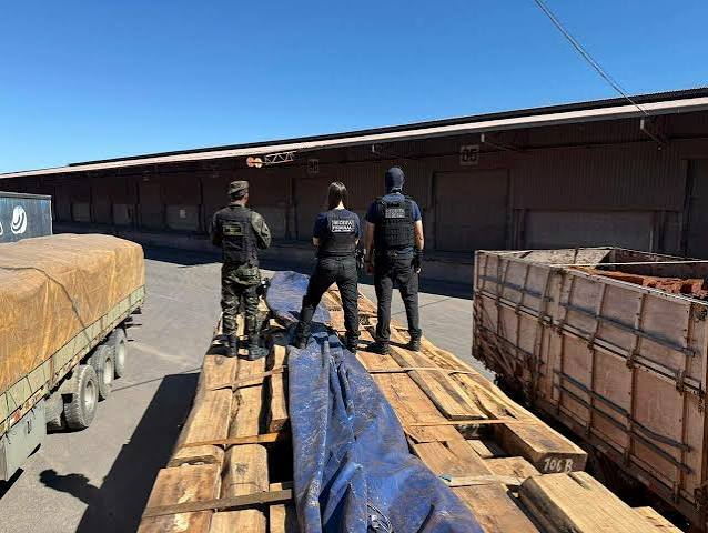 PF confirma: madeira da Opera&ccedil;&atilde;o Timber Shield n&atilde;o tinha coca&iacute;na