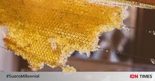 Madu lebah asli juga dipanggil sebagai madu biasa. 6 Manfaat Konsumsi Sarang Madu Bagi Tubuh Nikmatnya Lumer Di Mulut