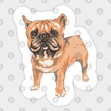 I was one of the weird kids that noticed those things. French Bulldog Brown French Bulldog Frenchie Pixel French Bulldog Sticker Teepublic