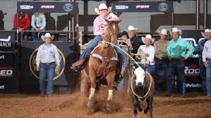Cowgirl Biz: Empowering Cowgirl Entrepreneurs And Inspiring A ...