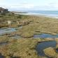 Northumberland Coastal Trail Run event image