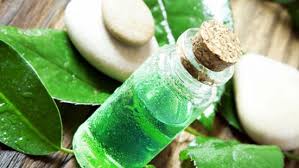 Treat Pelvic Inflammatory Disease Naturally With These 5 Home ...