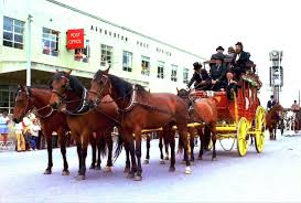 Ashburton NZ: History plus, Photos of Places & Groups, Classes to 1980