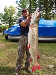 Esox Muskellunge Worlds Biggest Muskies