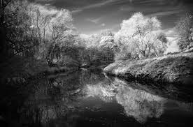 The cameras need a clear view to the area and distance you want to monitor. Working With Invisible Light Infrared Photography With The M10 Monochrom Macfilos