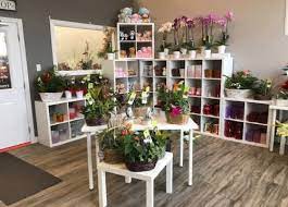 Check spelling or type a new query. Franchise Opportunities Forest Of Flowers Brantford King George
