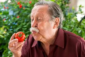 No Dia da Educação, escritor Pedro Bandeira e professora infantil falam  sobre relevância da data: 'Todo dia é dia'