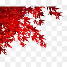 Autumn Maple Leaves Leaf Clipart Maple Leaf Abstract Artwork