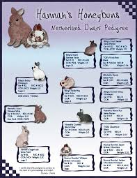 Pedegree Examples For My Later Experience Farm