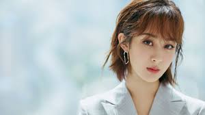 Top 15 bộ phim hay và xuất sắc nhất của Dương Tử nên xem