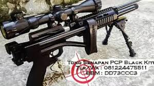 Volume tabung angin sendiri sampai 360 cc dan mendukung sampai dengan 14 peluru per magazine. Senapan Pcp Aa Predator Popor Lipat Sangat Ringan Dan Cocok Buat Berburu Black Kite Youtube