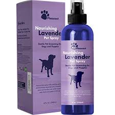 This formula is made to leave your furry friend smelling fresh all day long. Top 19 Best Dog Deodorizers Of 2021 Reviews Findthisbest