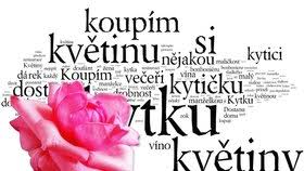 V roce 2017 dosáhla míra zaměstnanosti žen v eu rekordní výše 66,4 %. Mezinarodni Den Zen Vse O Tematu Blesk Cz