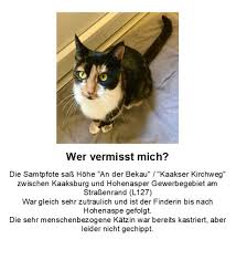 Maybe you would like to learn more about one of these? Katze Verletzt Aufgefunden