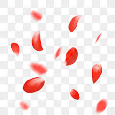 Falling Rose Png Images Vector And Psd Files Free Download On Pngtree Falling autumn leaves, petal floral design orange pattern, autumn leaves falling, watercolor leaves, leaf png. falling rose png images vector and