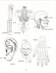 Pin On The Acupuncture Treatment Of Pain Leon Chaitow