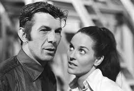 Sandra Zober ~ Complete Information [ Wiki