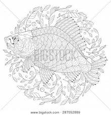 Make your world more colorful with printable coloring pages from crayola. Hand Drawn Decorated Cartoon Crucian On The White Background With Algae Image For Coloring Pages Vector Illustration Poster Id 287052889