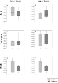 Random Allogeneic Blood Transfusion In Pigs