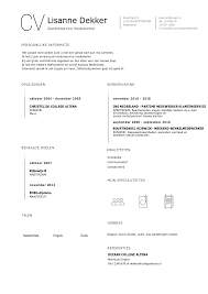 Cv Klantenservice Medewerker Voorbeeld Uitleg Perfect Cv
