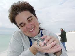 You'll be working at a. Turtle Patrol Volunteers Give Baby Sea Turtles New Life U S Air Force Article Display