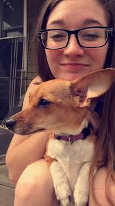 This is Penny Lane and Gizmo(tri colored)half sisters. Spending a week  together.