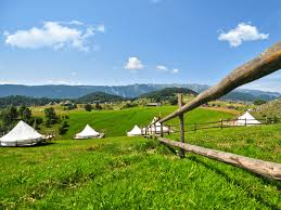 We did not find results for: Glamping Resorts In Romania Callingforthewild Com