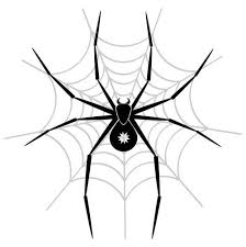 Spider Eps File Spider Art Spider Pictures Spider Web Tattoo