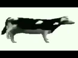 Tylko Jedno W Glowie Mam Koksu 5 Gram Dancing Polish Cow Meme Youtube Tylko jedno w glowie mam. tylko jedno w glowie mam koksu 5 gram dancing polish cow meme