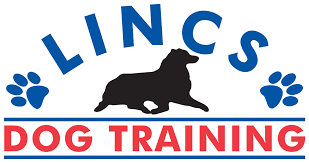 Click here for a special message! Lincs Dog Training Puppy Dog Training Classes Lincolnshire