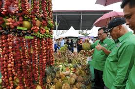 3 sabah forest industries reviews. Govt To Pay Sfi Staff Salaries