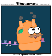 We did not find results for: Cells Biology Animated Gifs At Best Animations