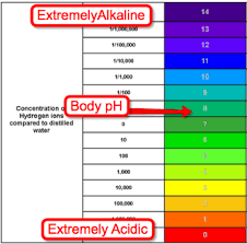 Is Your Body Alkaline Or Acidic Nutritional E Cleanse Program