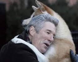 Remembering Hachiko, a dog known for his remarkable loyalty, who faithfully  waited everyday