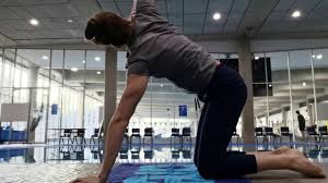 Profil officiel de l'athlète olympique cate campbell (né(e) le 20 mai 1992), incluant jeux, médailles, résultats, photos, vidéos et actualités. 3 Pre Swim Mobility Exercises By Australian Champion Cate Campbell