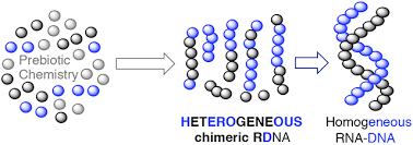E politicos să scrii dna sau d na ana are carti. The Role Of Sugar Backbone Heterogeneity And Chimeras In The Simultaneous Emergence Of Rna And Dna Abstract Europe Pmc