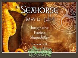 If you have interest towards astrology and ponder where you should explore its various fields, it is great to begin with finding out about characteristics of 12 zodiac signs. Seahorse Celtic Zodiac Sign Meanings Traits Personality Compatibility Celtic Astrology
