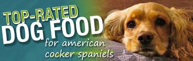 The Best Dog Foods For American Cocker Spaniels Dog Food Guru