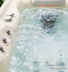 Clean the pump and plumbing system before the first use and every month thereafter, regardless of utilization. How To Clean And Disinfect Jetted Whirlpool Tubs Queen Bee Of Honey Dos