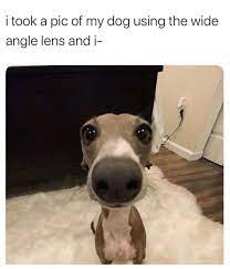 Memes Big Nose Facebook