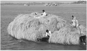 The official language of bangladesh and bengal synonyms: Culture Of Bangladesh History People Clothing Traditions Women Beliefs Food Customs Family